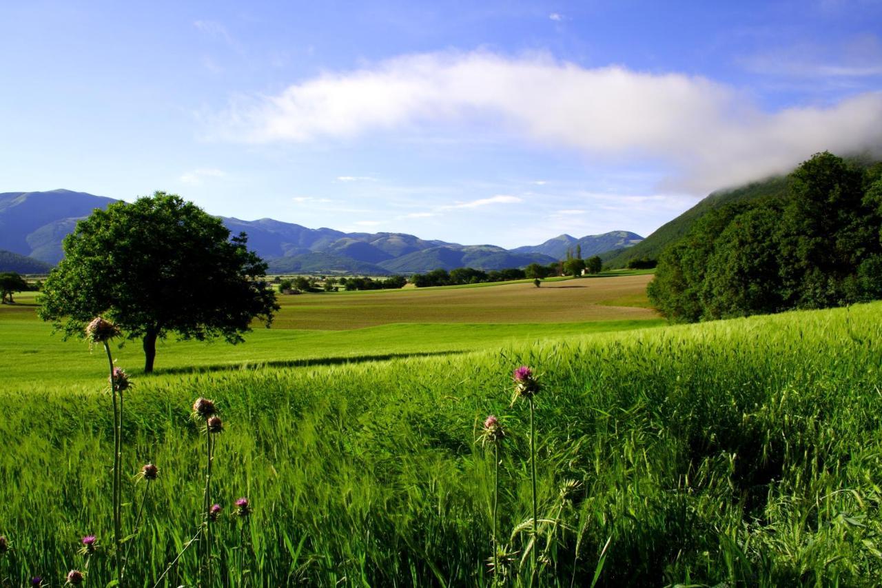 נורצ'יה Agriturismo La Cascina Di Opaco מראה חיצוני תמונה