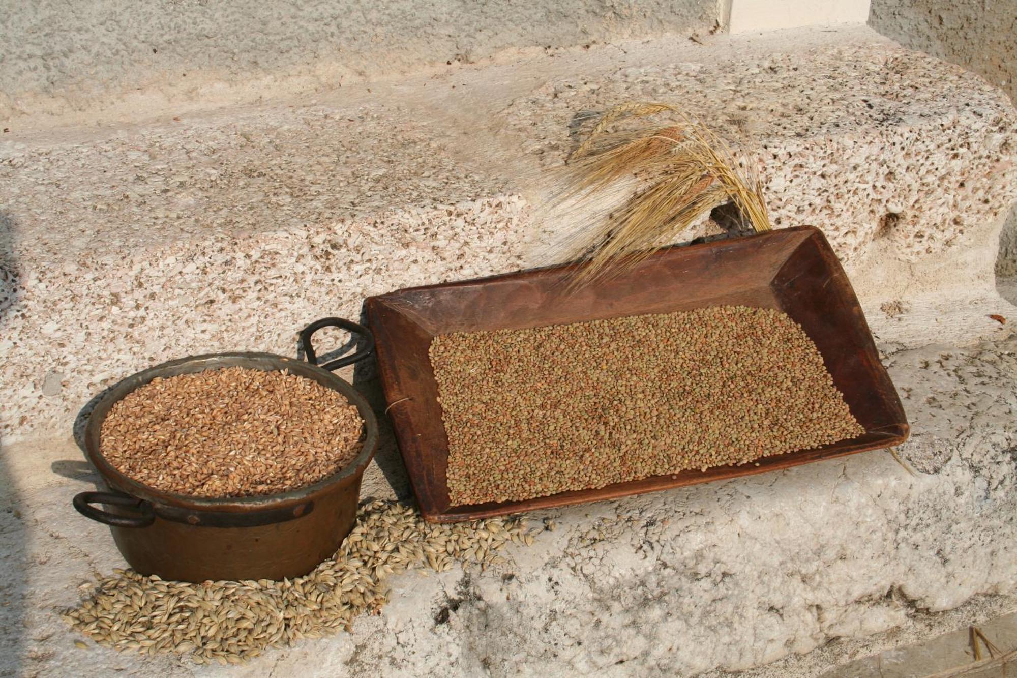 נורצ'יה Agriturismo La Cascina Di Opaco מראה חיצוני תמונה