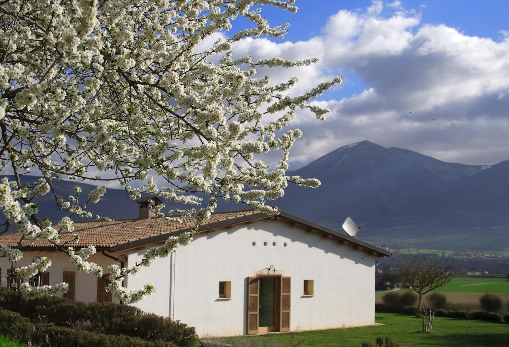 נורצ'יה Agriturismo La Cascina Di Opaco מראה חיצוני תמונה