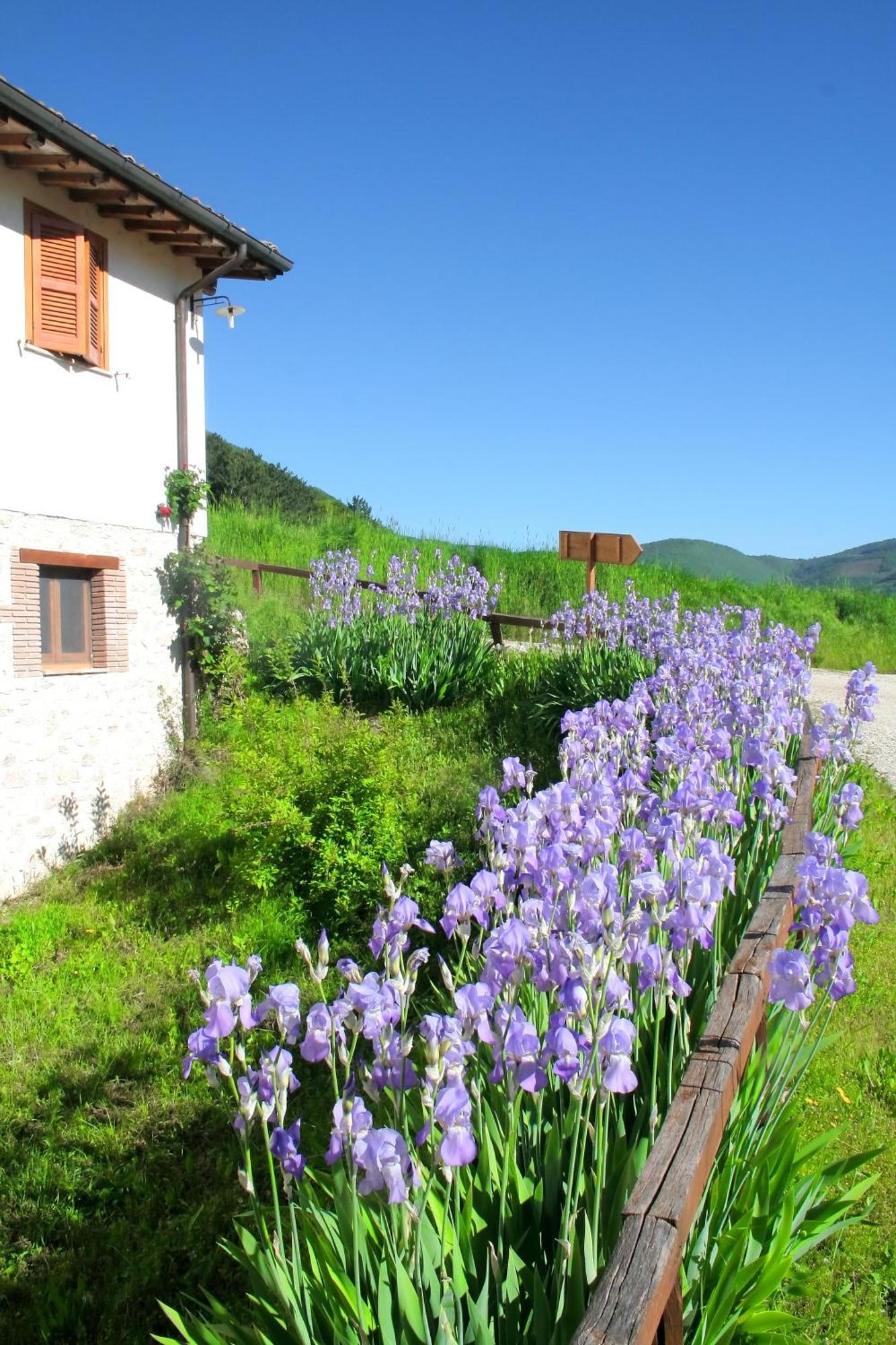 נורצ'יה Agriturismo La Cascina Di Opaco מראה חיצוני תמונה